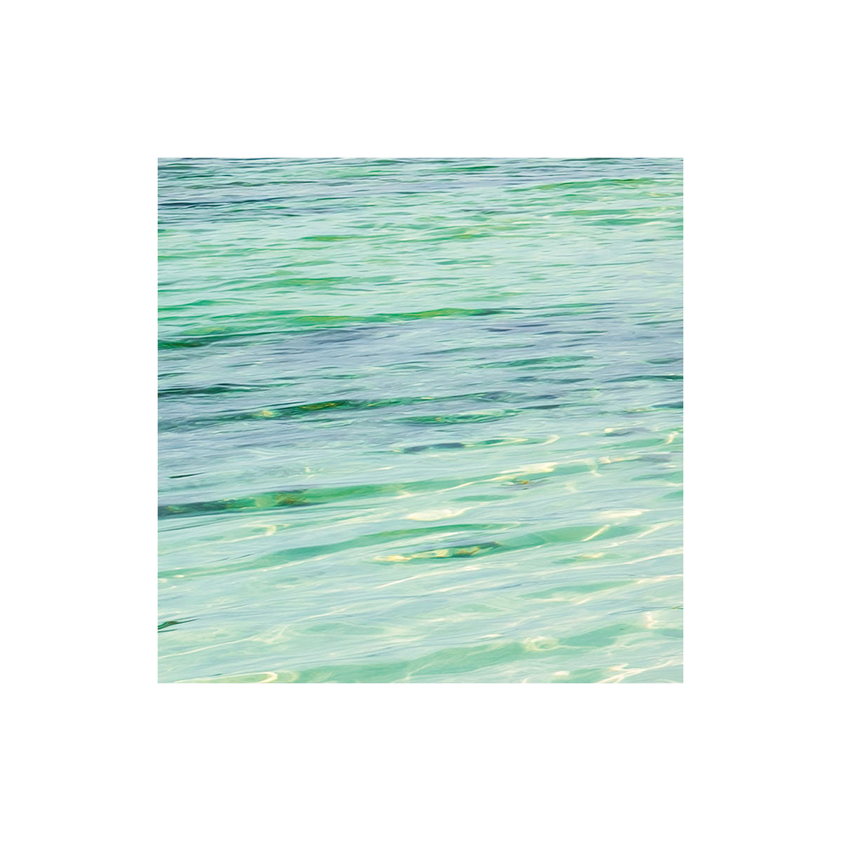 Komar  Vlies Fototapete Ozeanperle 450x280 cm Bild 5