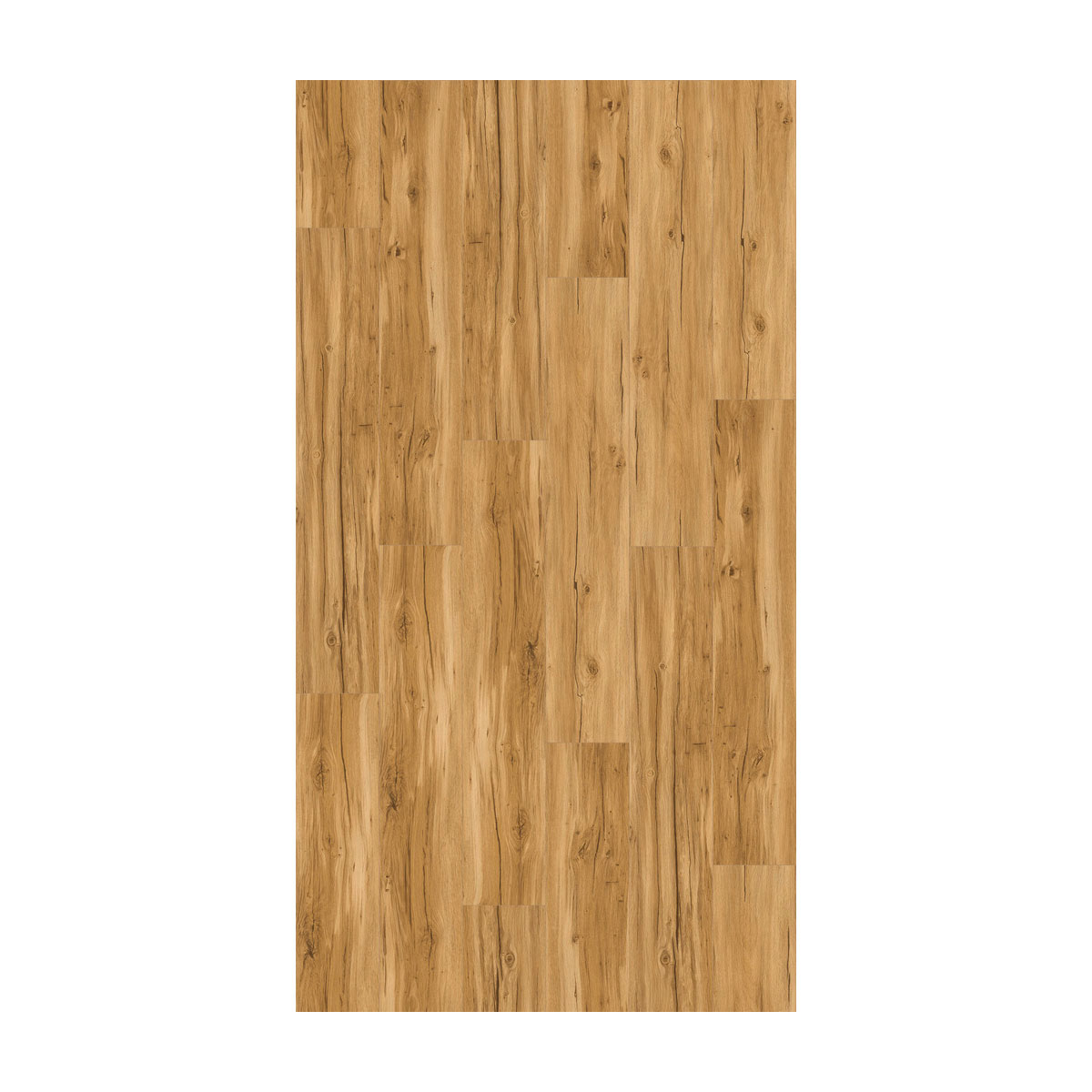 Parador Vinylboden Basic 5.3 Eiche Memory Natur gebürstete Struktur 22,5 x 120,9 cm Bild 2