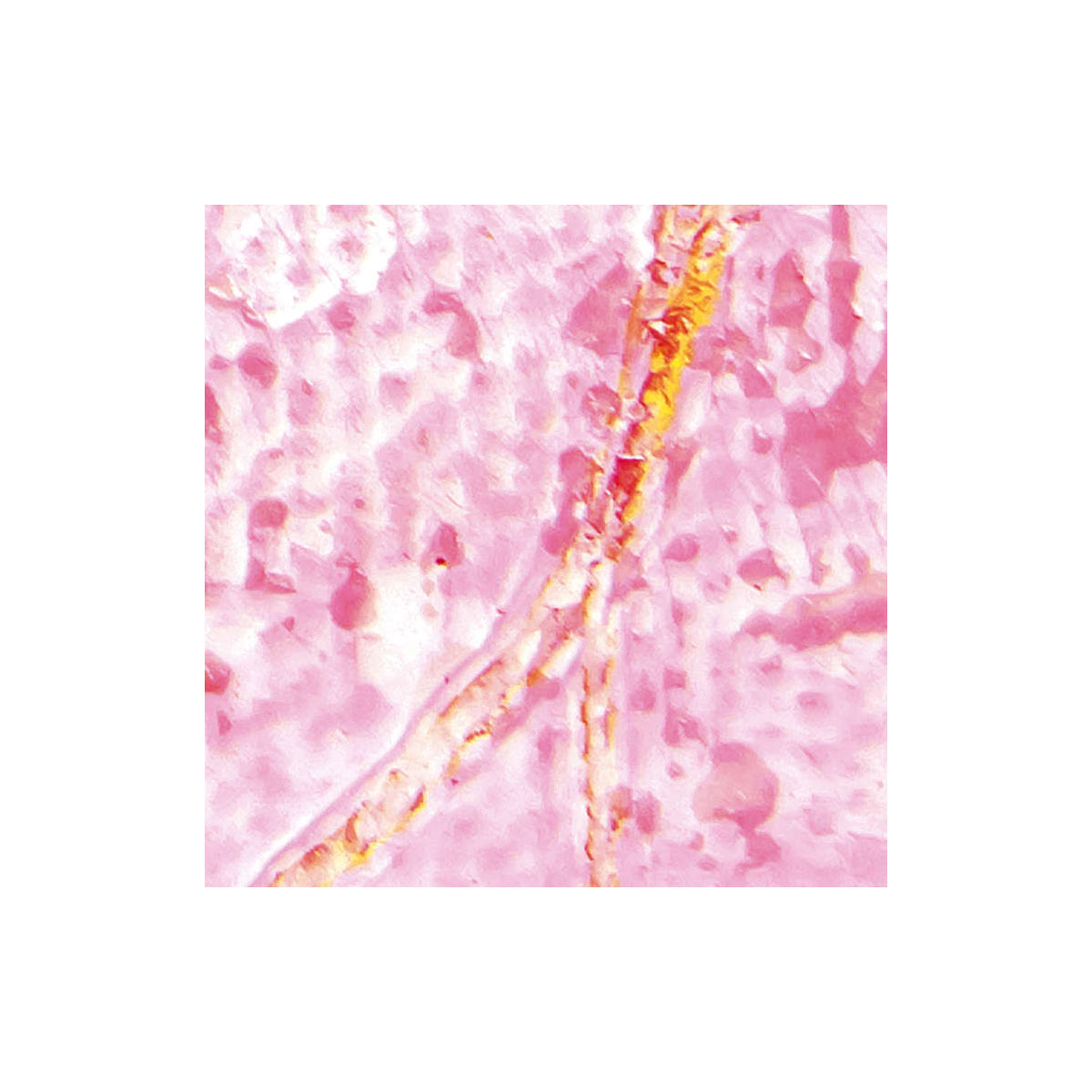 Komar  Vlies Fototapete Cells Wrapping 500x280 cm Bild 8