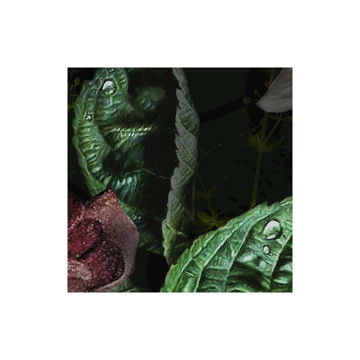 Komar  Vlies Fototapete Victoria Black 400x250 cm Bild 7