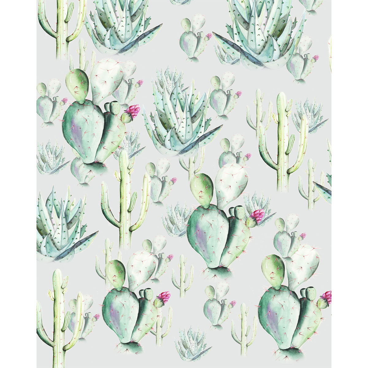 Komar  Vlies Fototapete Cactus Grey 200x250 cm Bild 2