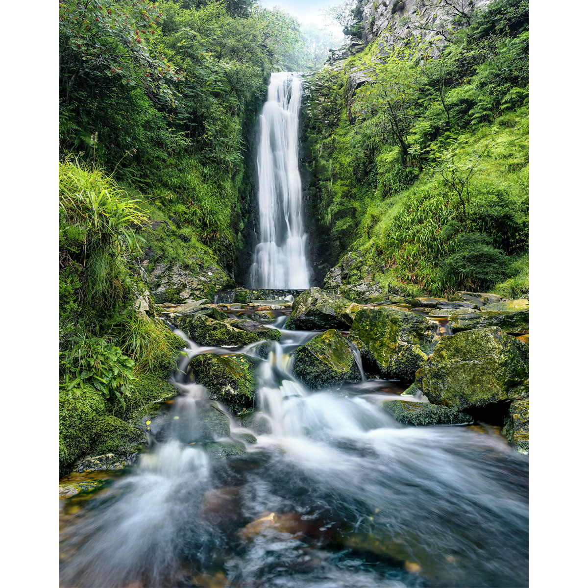 Komar  Vlies Fototapete Glenevin Falls 200x250 cm Bild 2