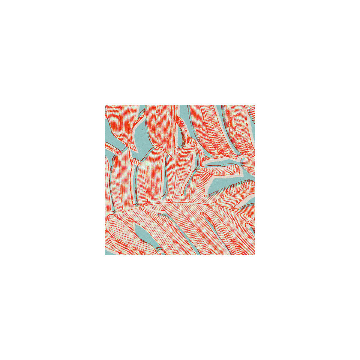 Komar  Vlies Fototapete Coralla 300x280 cm Bild 4