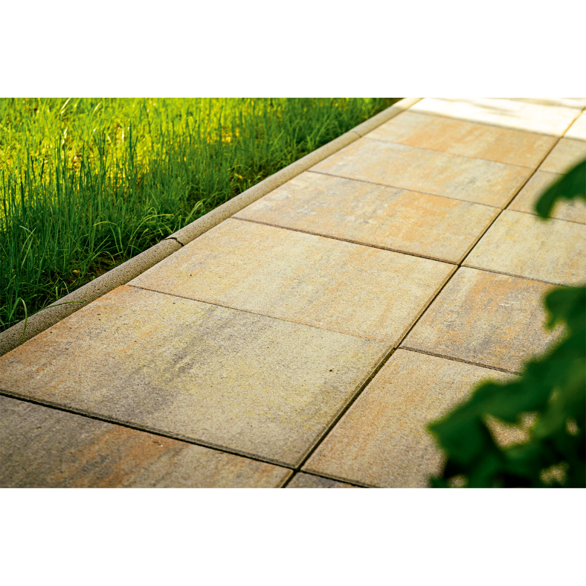 Terrassenplatte Toscana muschelkalk 60 x 40 x 4 cm