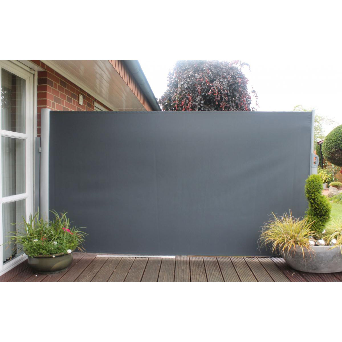 Leco Seitenmarkise 300 cm anthrazit Bild 2