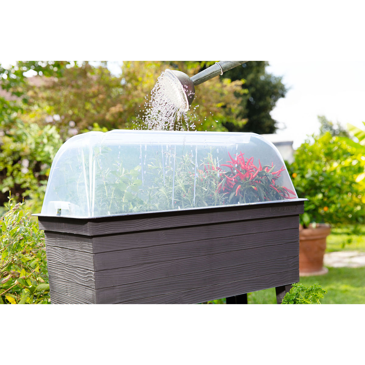 Garantia Anzuchthaube für Hochbeet Urban Bild 1