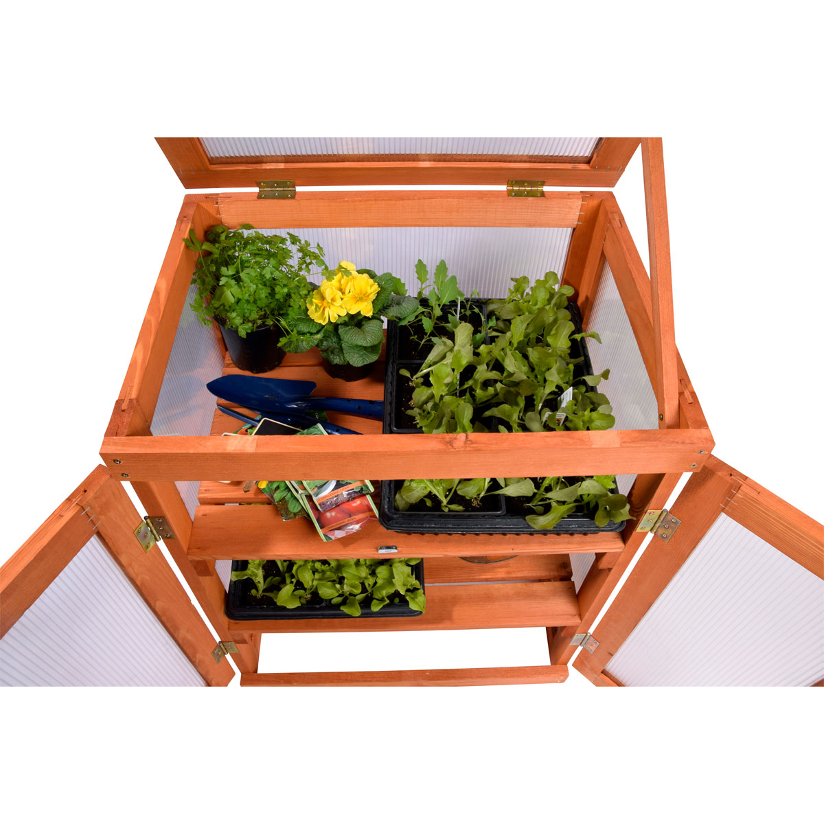 dobar Mini-Gewächshaus 58 x 76 x 43 cm braun Bild 6