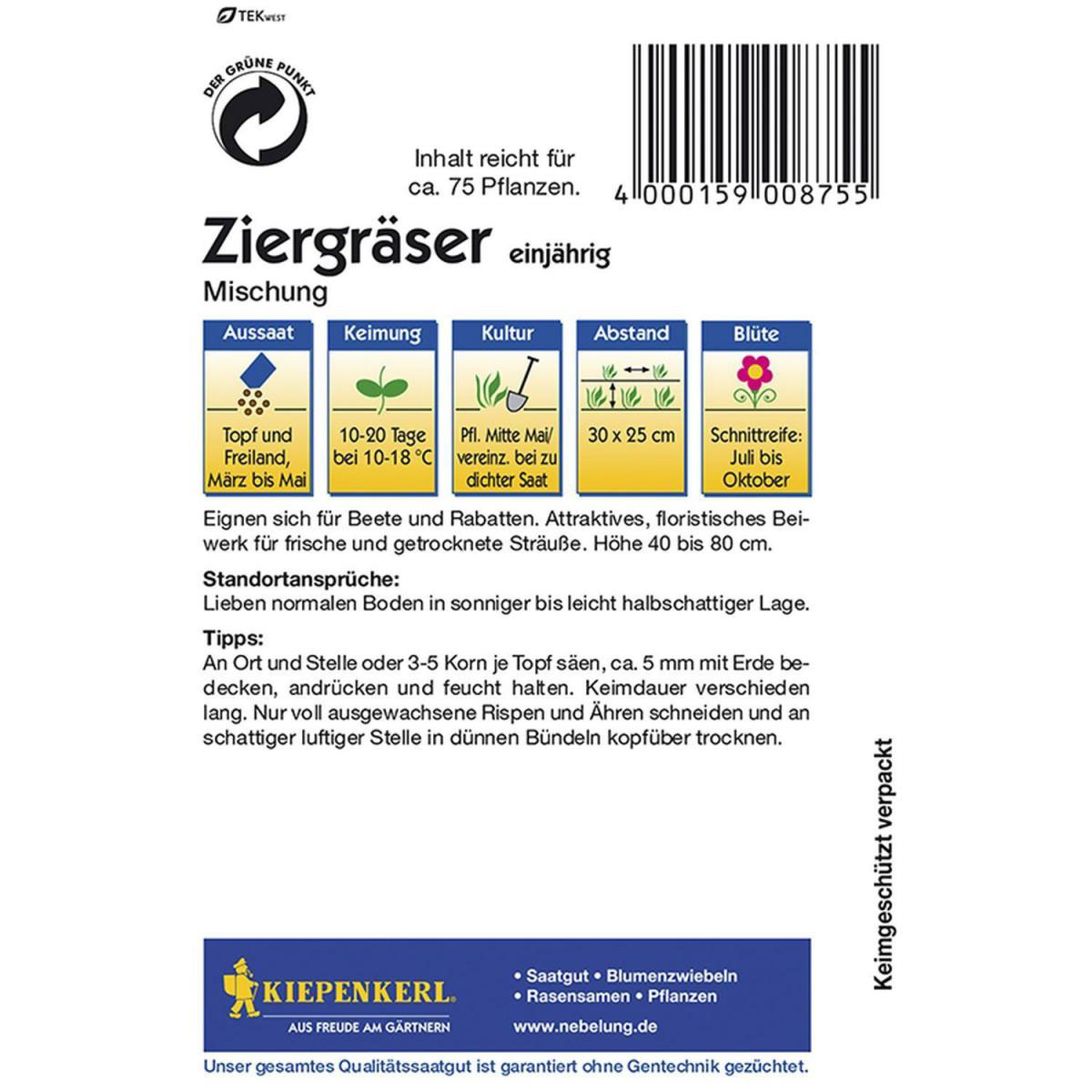 Kiepenkerl Ziergräser Mischung Bild 2