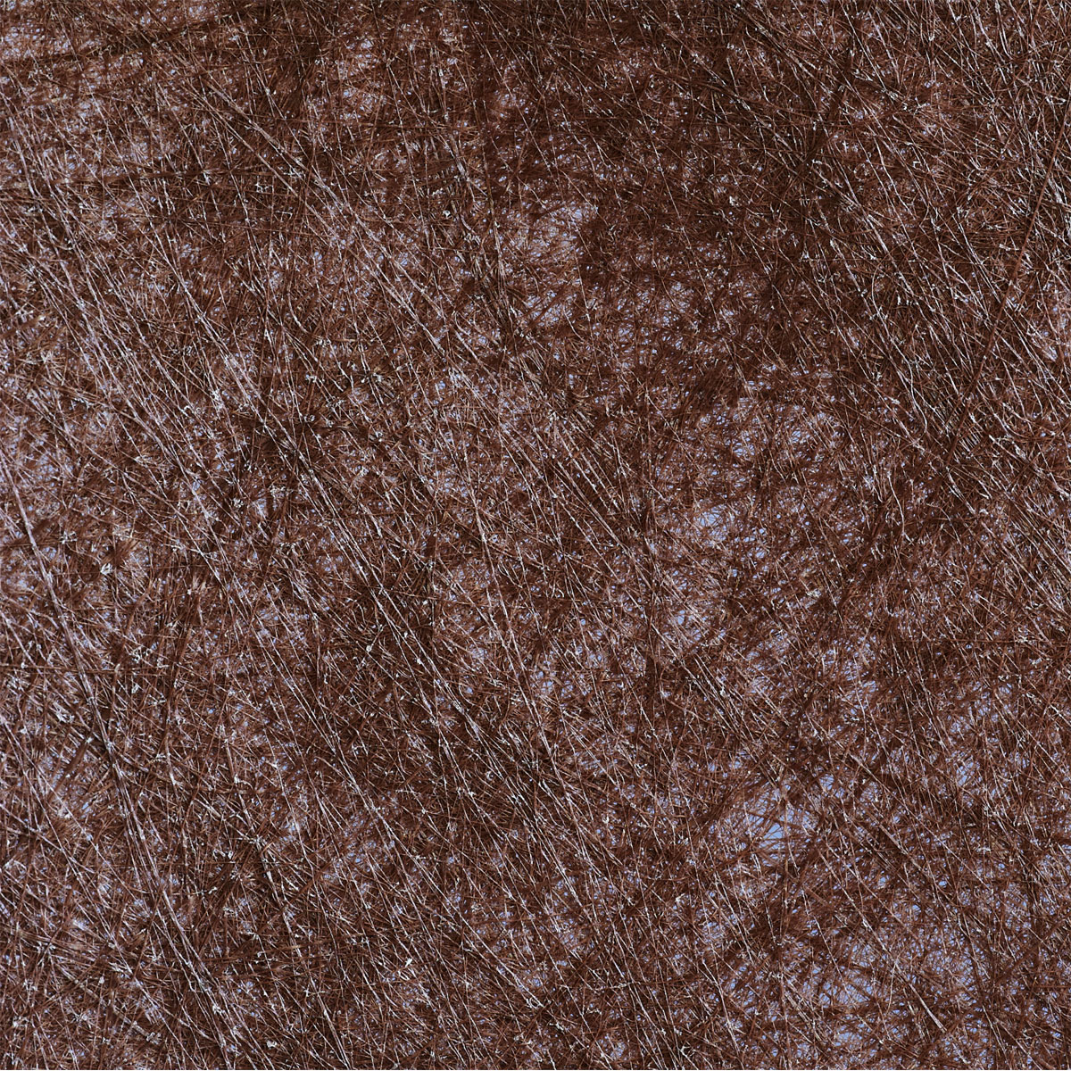 Windhager  Mulch-und Unkrautvlies 10x0,9 m Bild 4