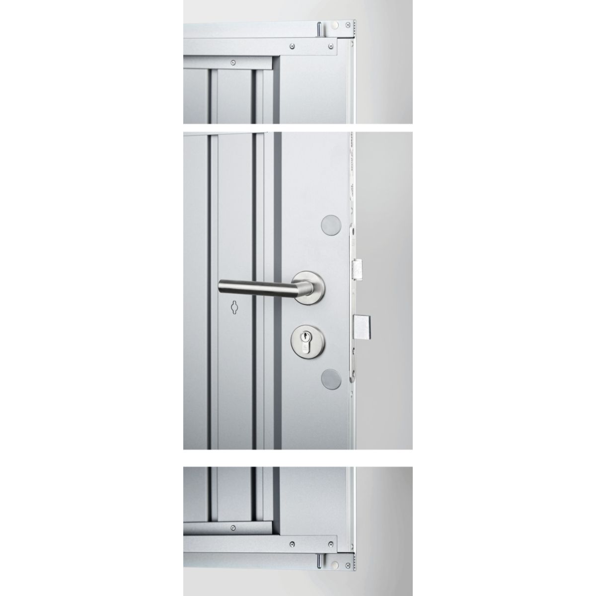 Biohort Gerätehaus Panorama Gr. P2 silber-metallic mit Doppeltür Bild 6