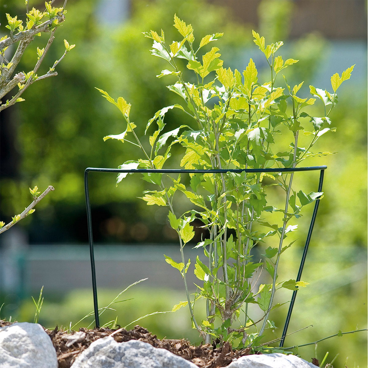 Windhager  Staudenstütze 35x40 cm