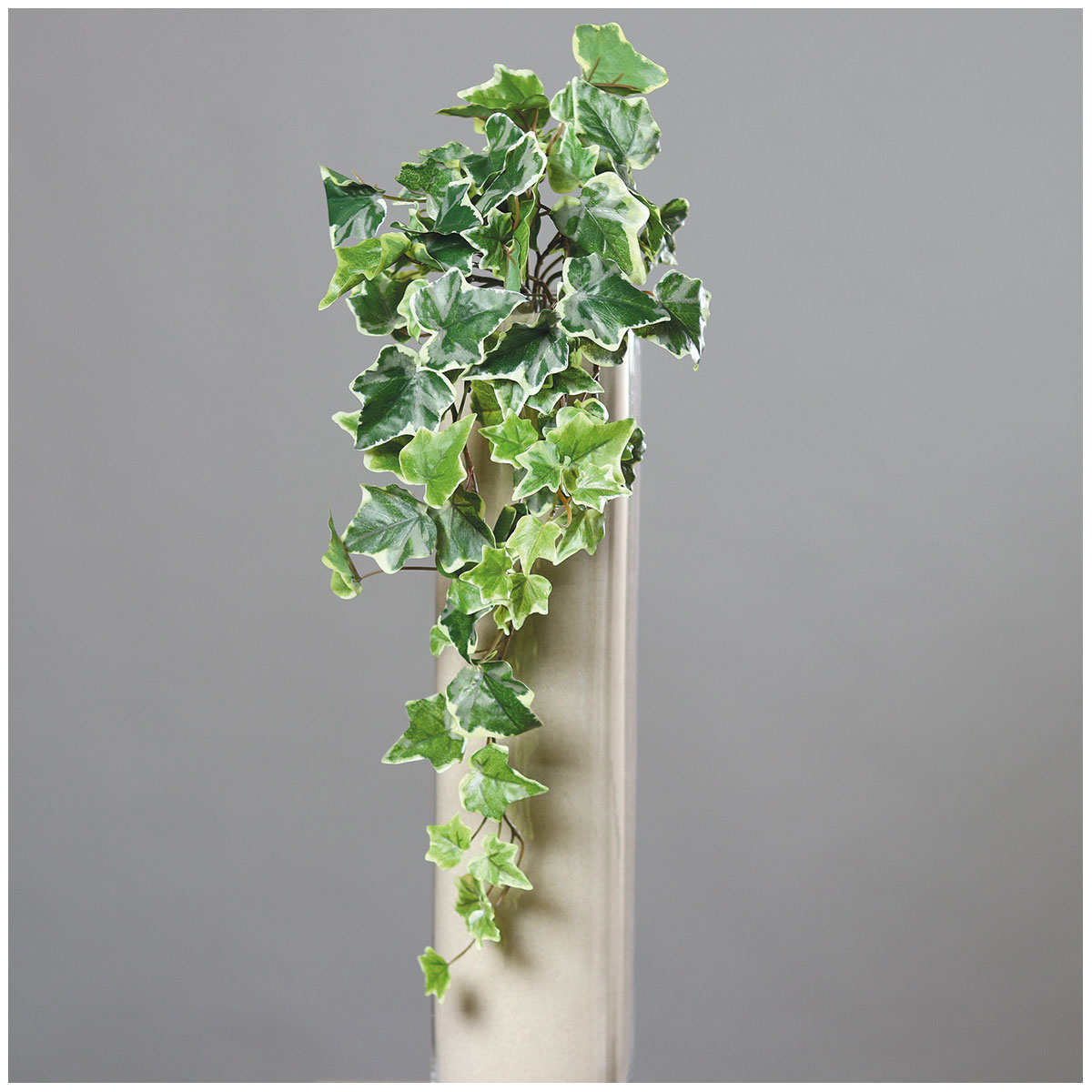 Efeuhänger 45 cm white-green