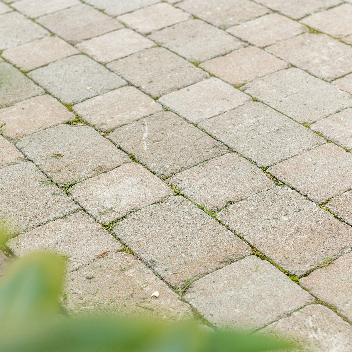 Diephaus  Pflaster Antik Sandstein 14 x 14 x 7 cm 1,05 m2 pro Lage Bild 3
