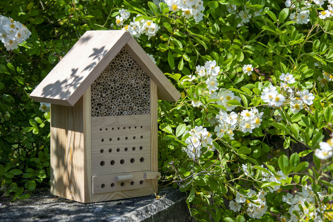 Ein Insektenhotel steht auf einem Stein, umgeben von blühenden weißen Blumen.