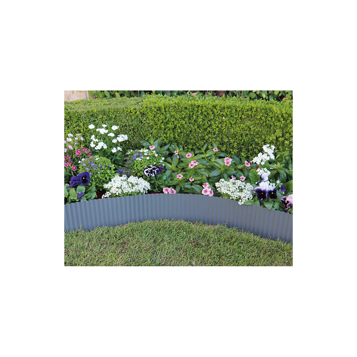 SIENA GARDEN  Rasenkante Metall grau, 6mx15cm Bild 2