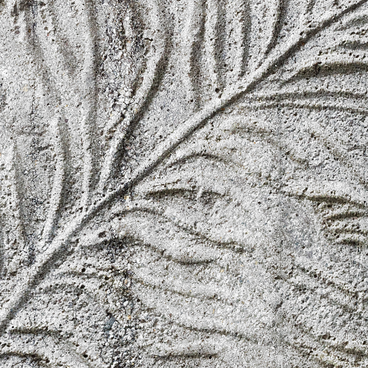 Komar  Vlies Fototapete Concrete Feather 350x250 cm Bild 3