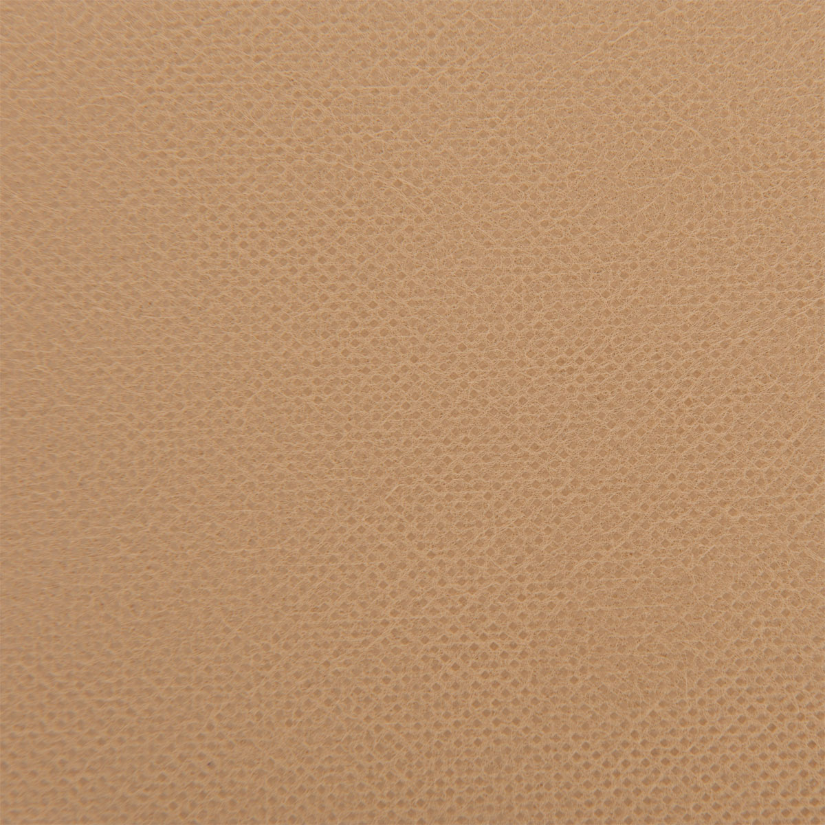 Wintervlies Super Protect 5 x 2 m Bild 5