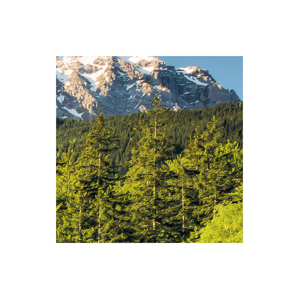 Komar  Vlies Fototapete Beautiful Germany 200x250 cm Bild 8