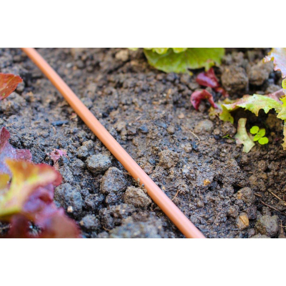 Tropfschlauch „DP30“