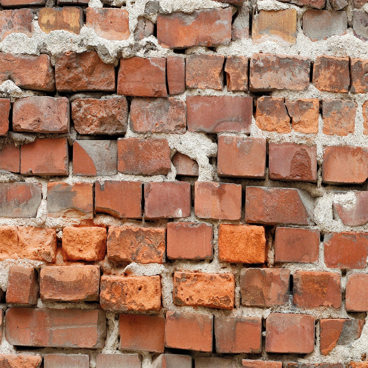 Komar  Vlies Fototapete Bricklane 250x250 cm Bild 3