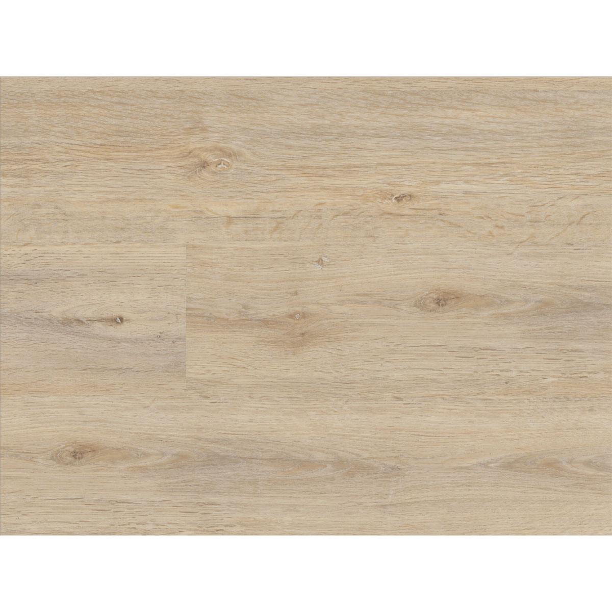 Specht Vinylboden SPC Classic Eiche Kopenhagen 122 x 18 cm Bild 2