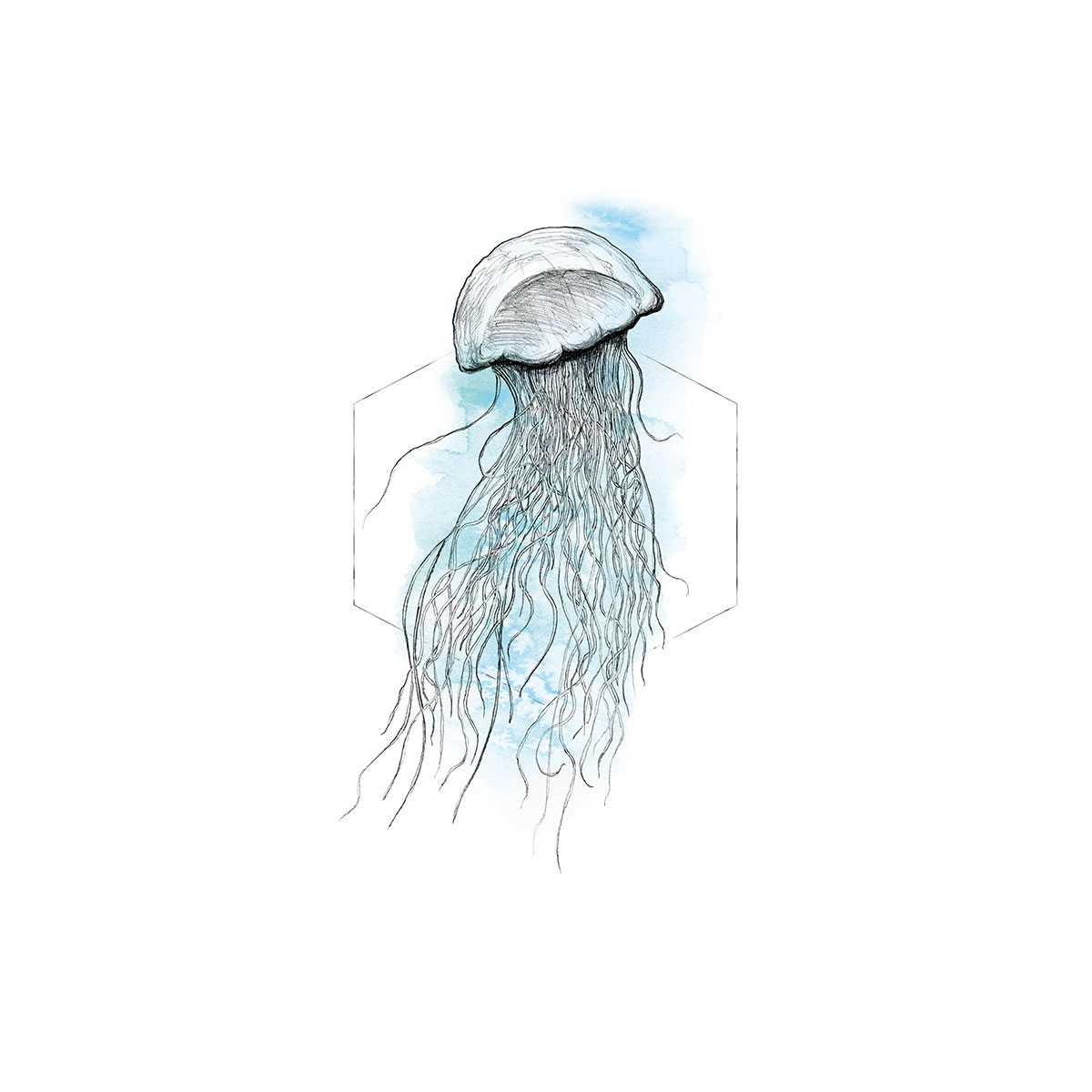 Komar  Wandbild Jellyfish Watercolor 40x50 cm Bild 2