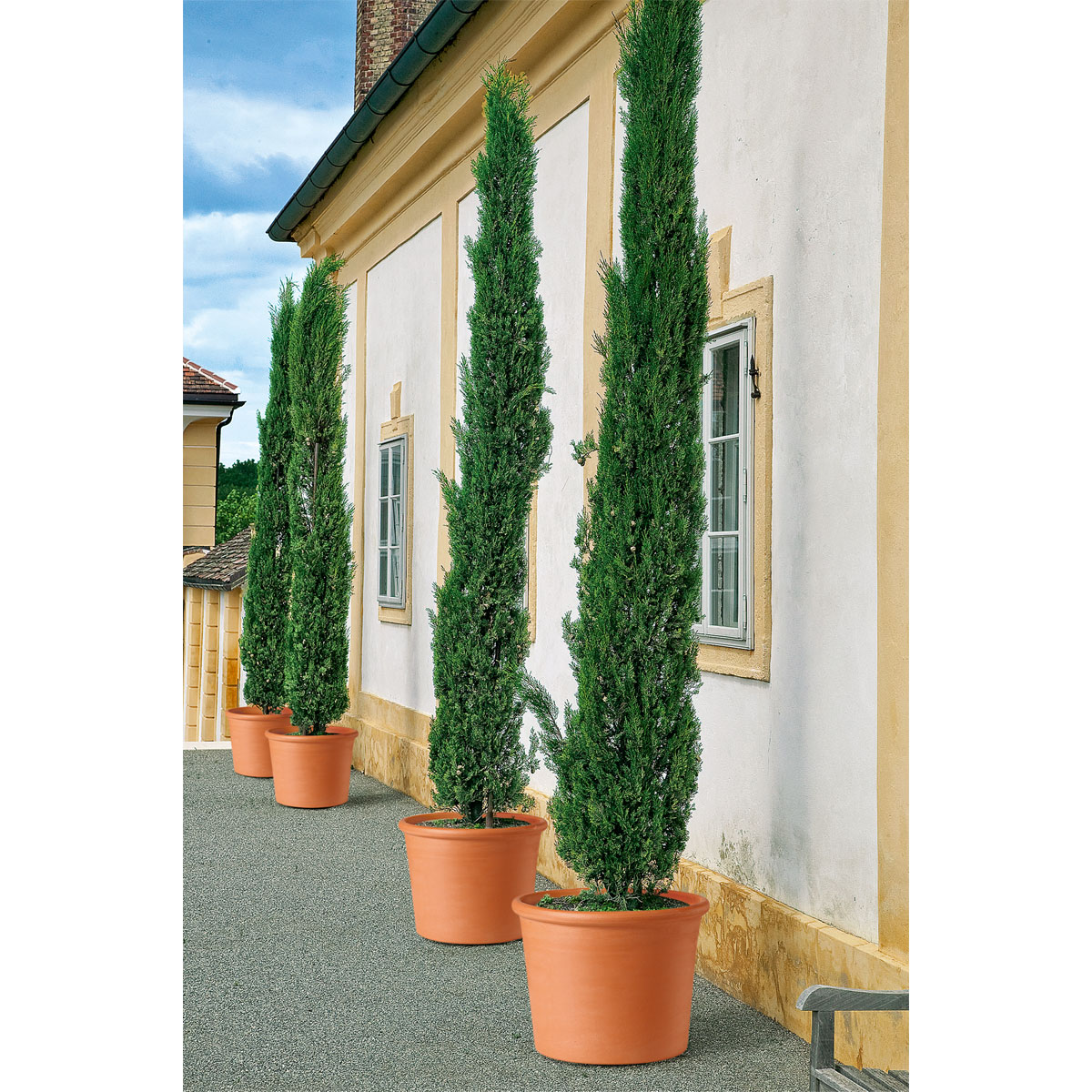 Übertopf Cilindro Bordato 12 cm Bild 2