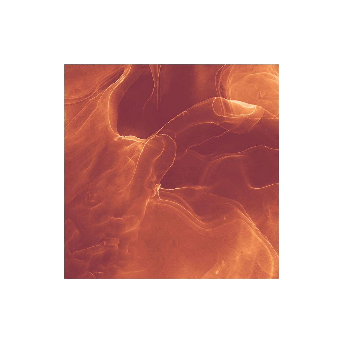 Komar  Vlies Fototapete Evoke 400x280 cm Bild 5