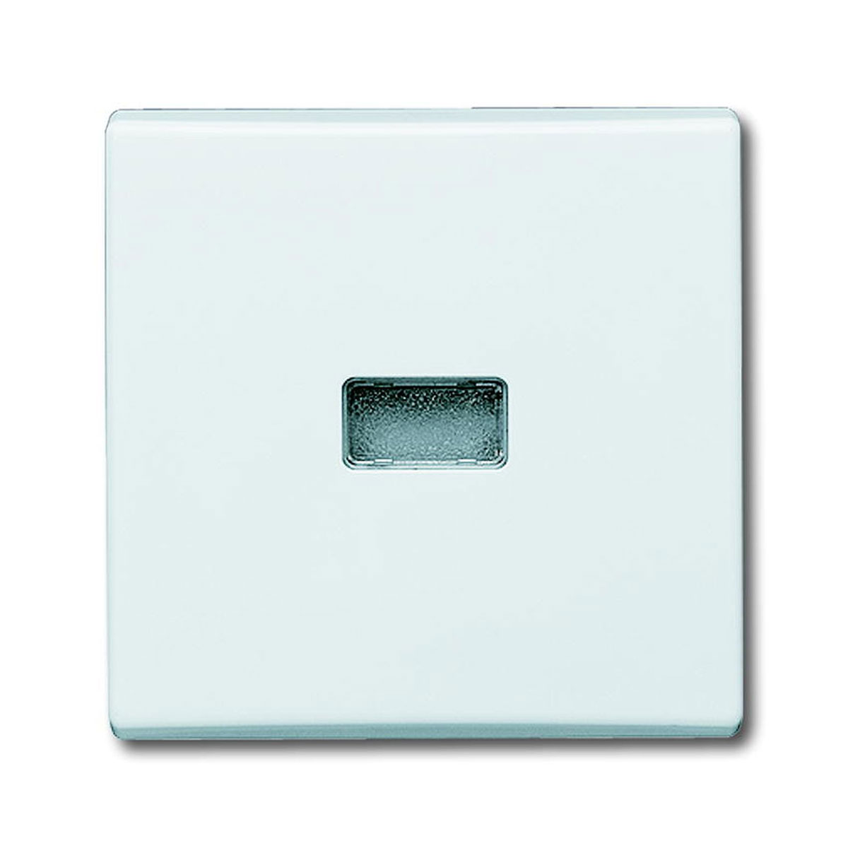 Busch-Jaeger Abdeckung für Kontrollschalter Allwetter 44 IP44