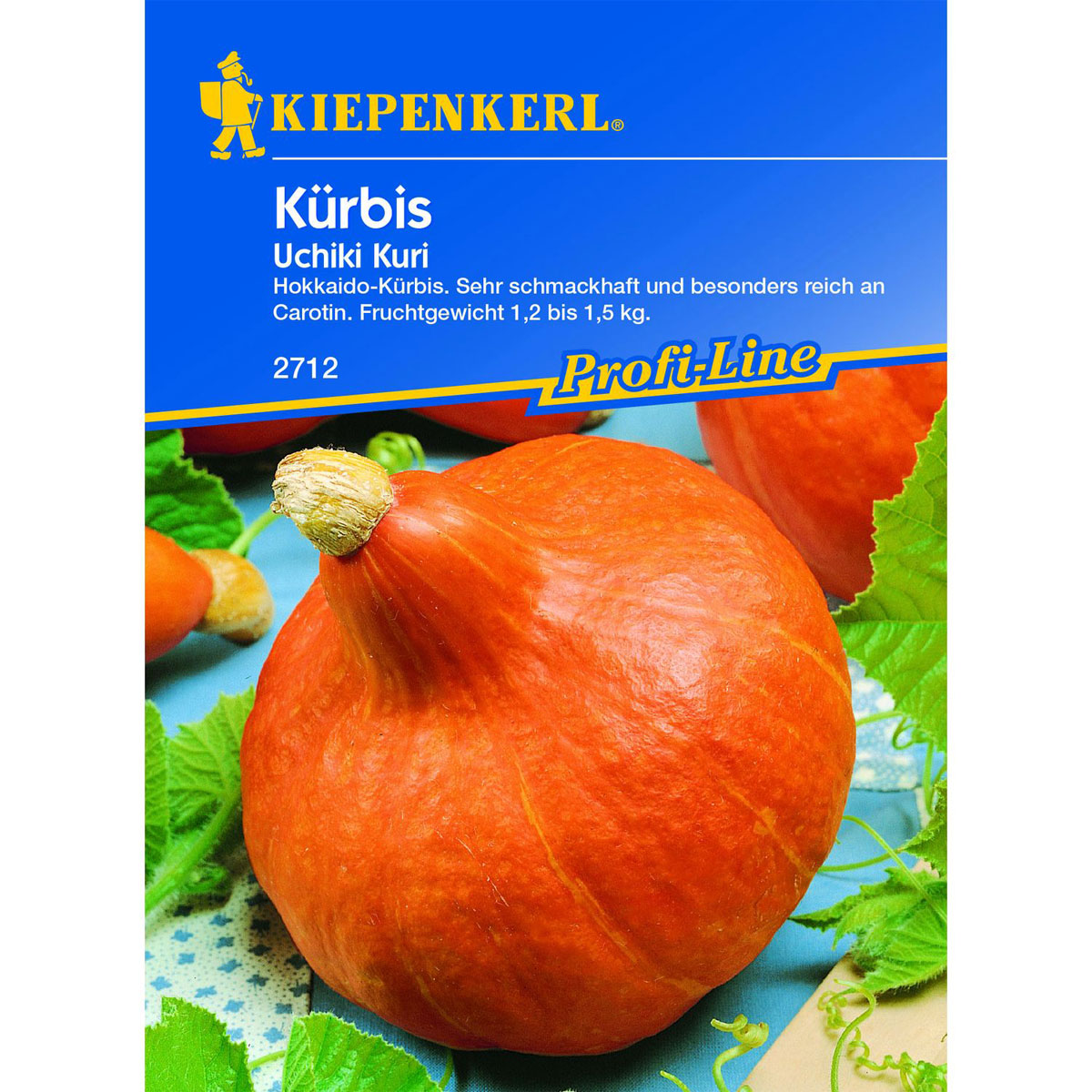 Kiepenkerl Kürbis Uchiki Kuri Bild 1