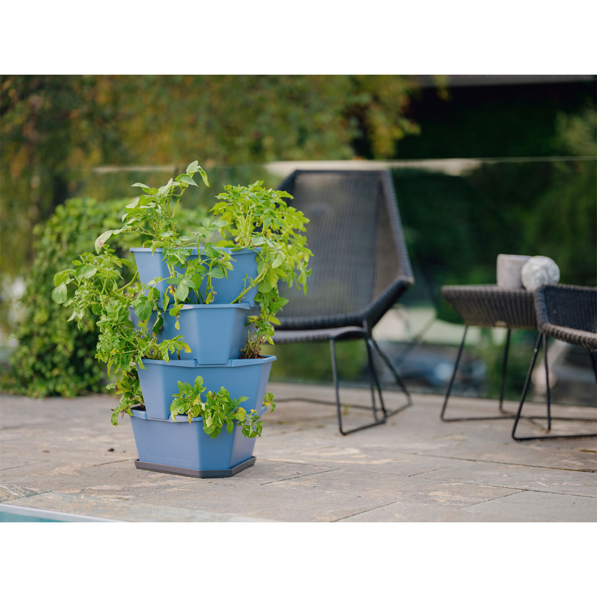 Anzuchtsgefäß Paul Potato blau 4er Set Bild 1