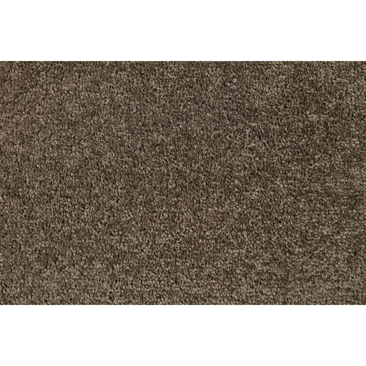 Teppichboden Kathy 4m schlamm FB 73 Bild 1