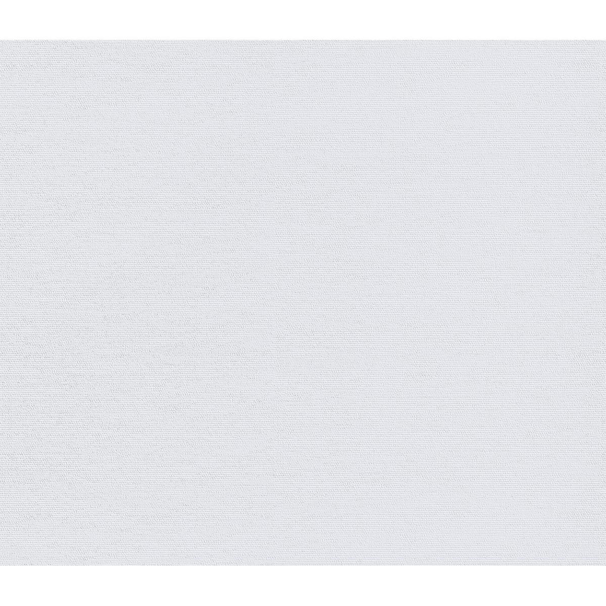 Erfurt Vliesfaser Maxx Economy Flax 100 Bild 2