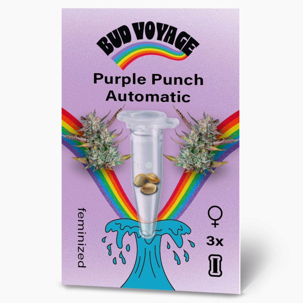 Bud Voyage Hanfsamen Purple Punch Auto