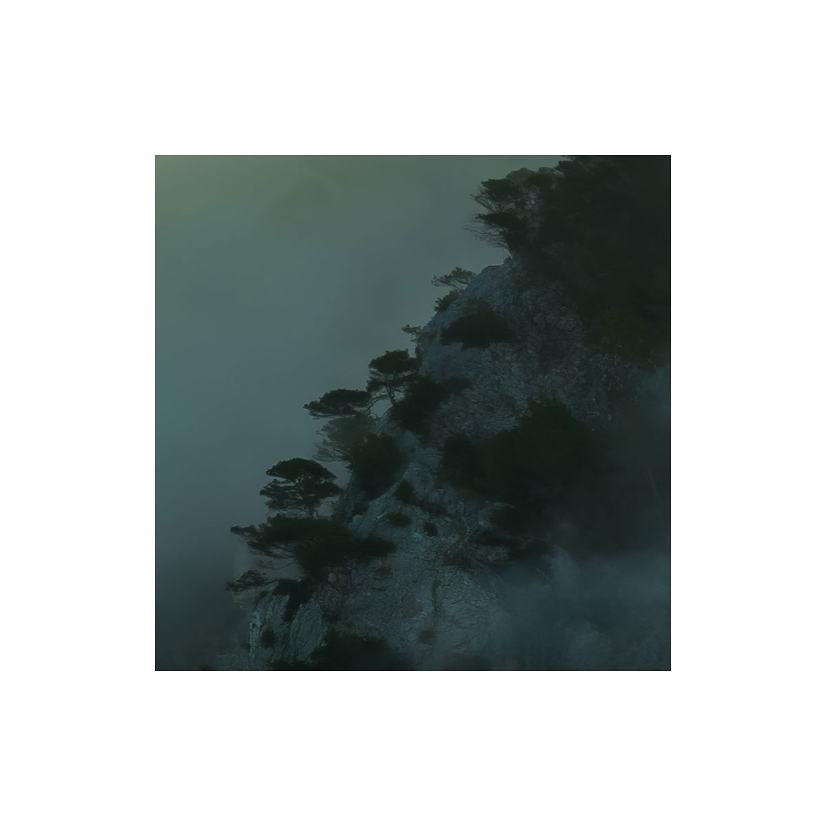 Komar  Vlies Fototapete Pangea 450x280 cm Bild 7