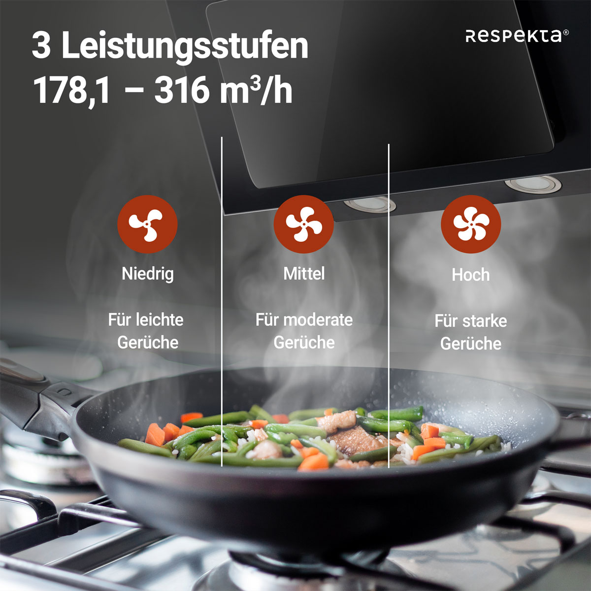 Respekta Schraeghaube EEK:B schwarz 60cmCH33060SB Bild 7