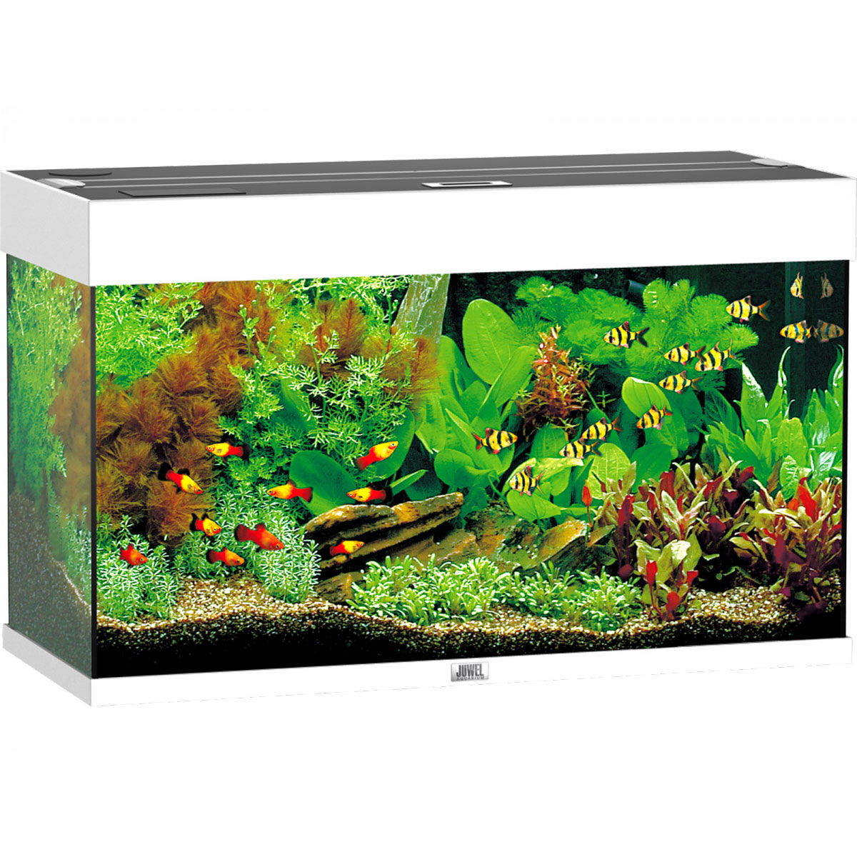 Juw Rio 125 LED weissAquarium 2x14W Filter+Heizung