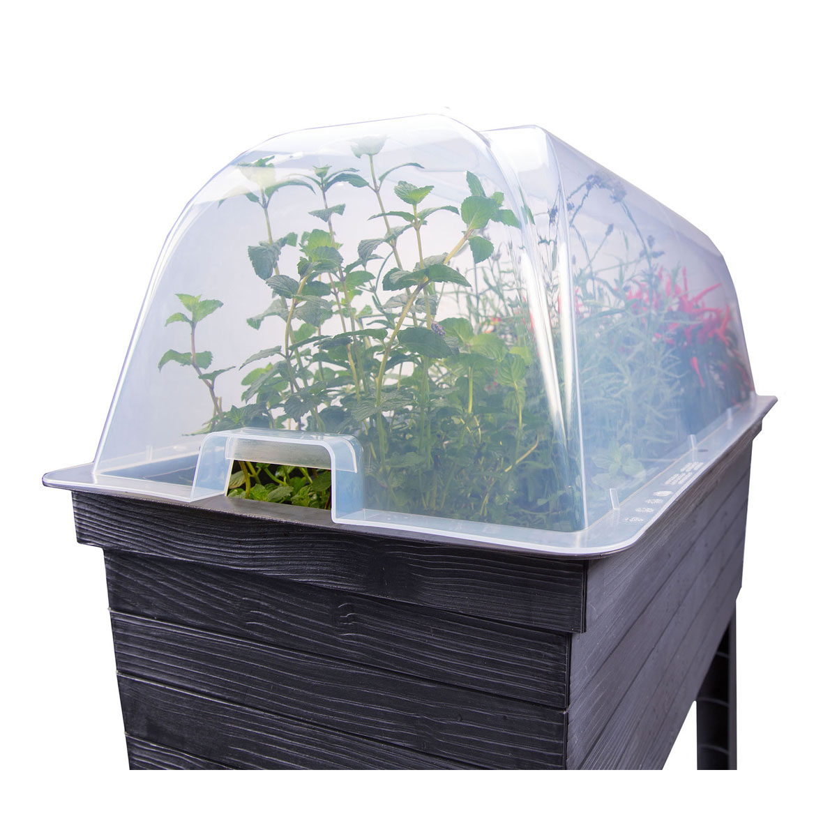 Garantia Anzuchthaube für Hochbeet Urban Bild 3