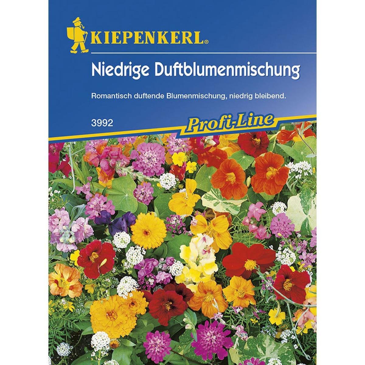 Kiepenkerl Duftblumenmischung niedrige Duftender Steingarten Profi-Line