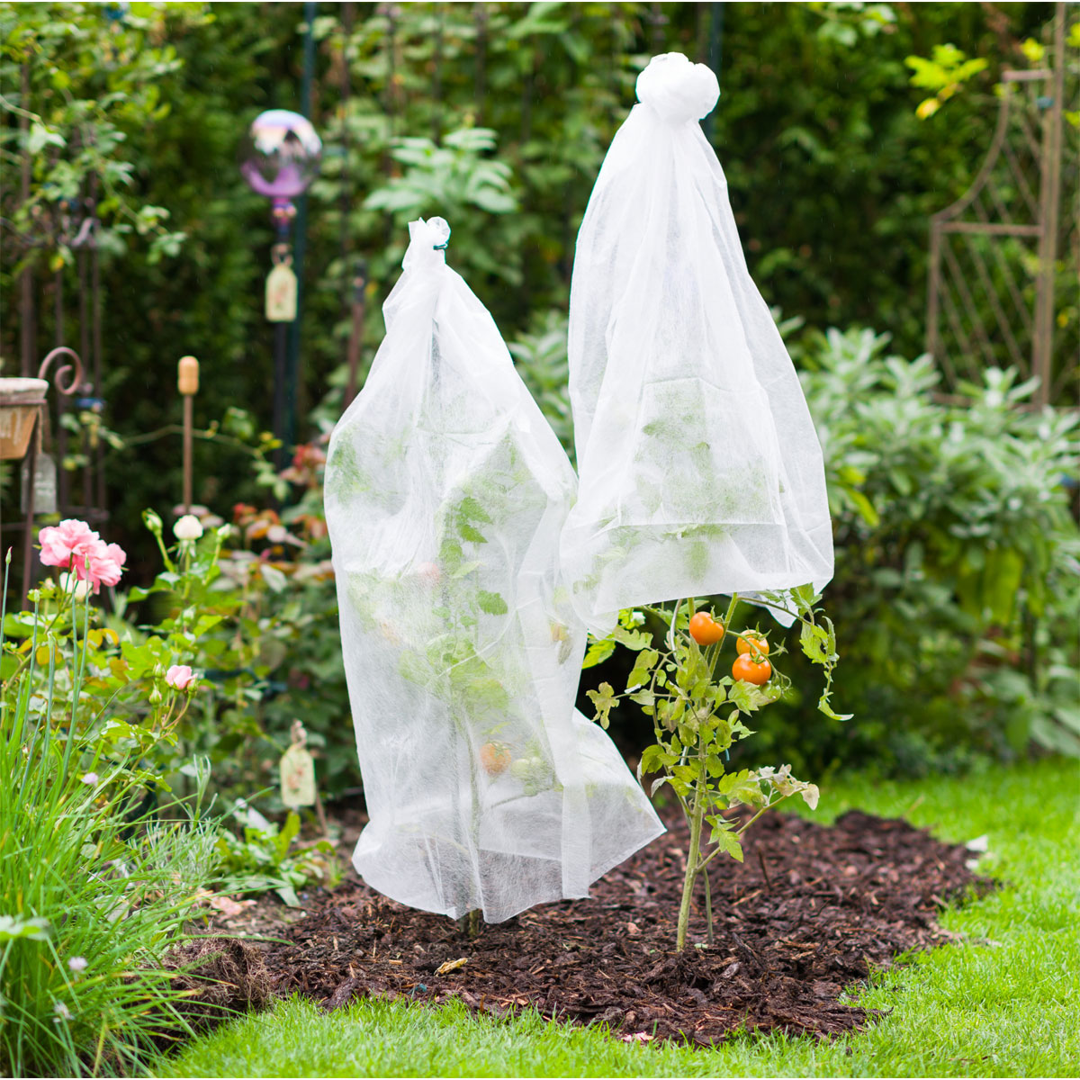 Windhager  Tomatenvlies 18 g/m² 0,75x10 m Bild 3