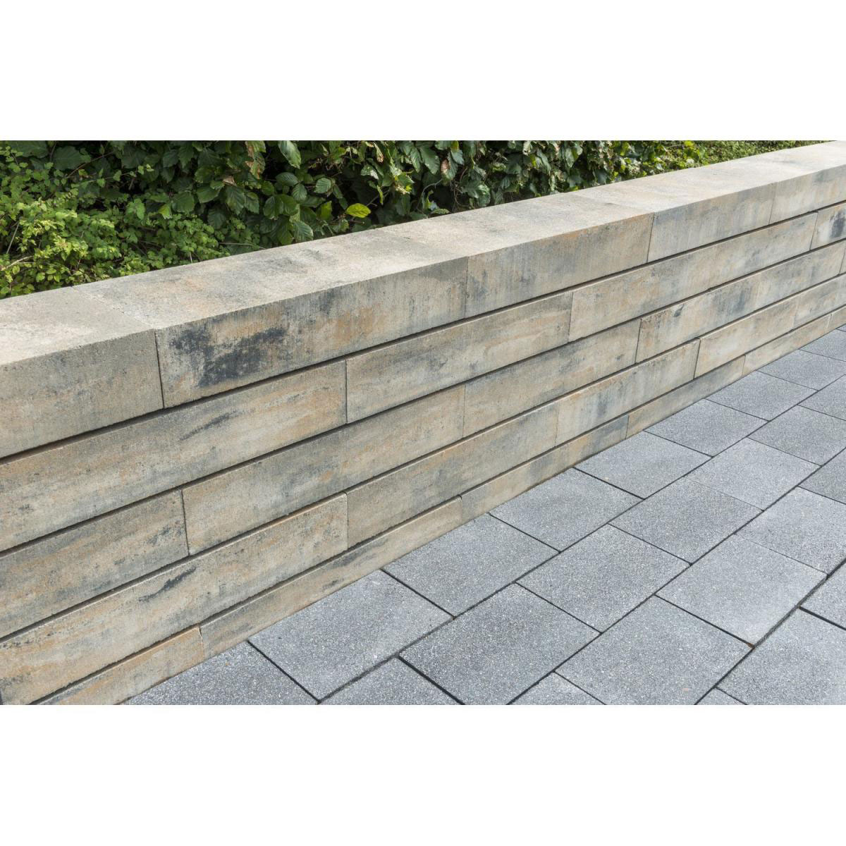 Diephaus  Mauersteine Top 60 x 25 x 12,5 cm Muschelkalk Bild 3