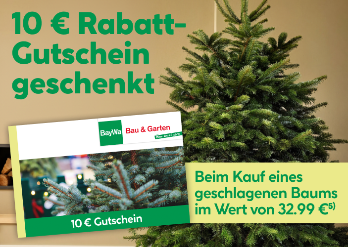 Baum kaufen und 10 Euro geschenkt bekommen!