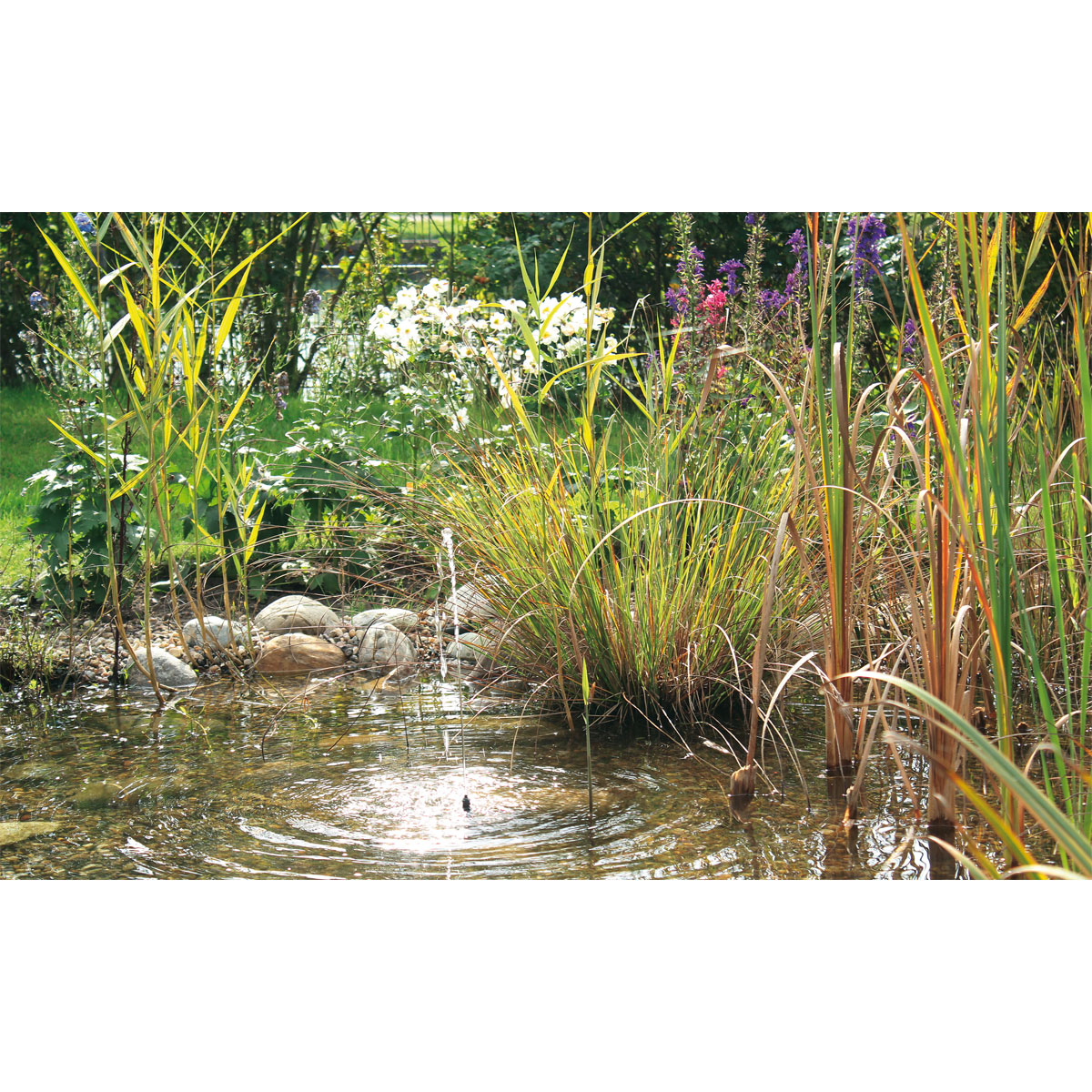 Oase PontecPondoSolar-Wasserspiel Solar 150 Bild 6