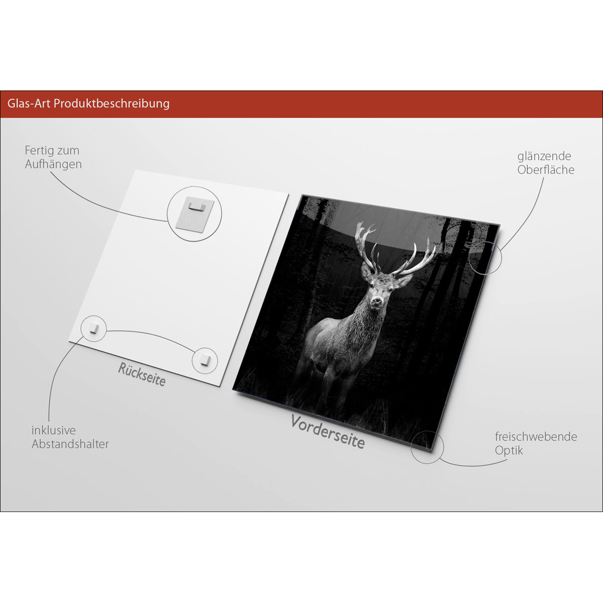 Glas-Art Grey Deer Head 20 x 20 Glasbild Bild 3