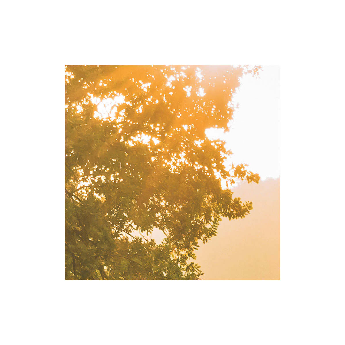 Komar  Vlies Fototapete Devil's Bridge 400x250 cm Bild 5