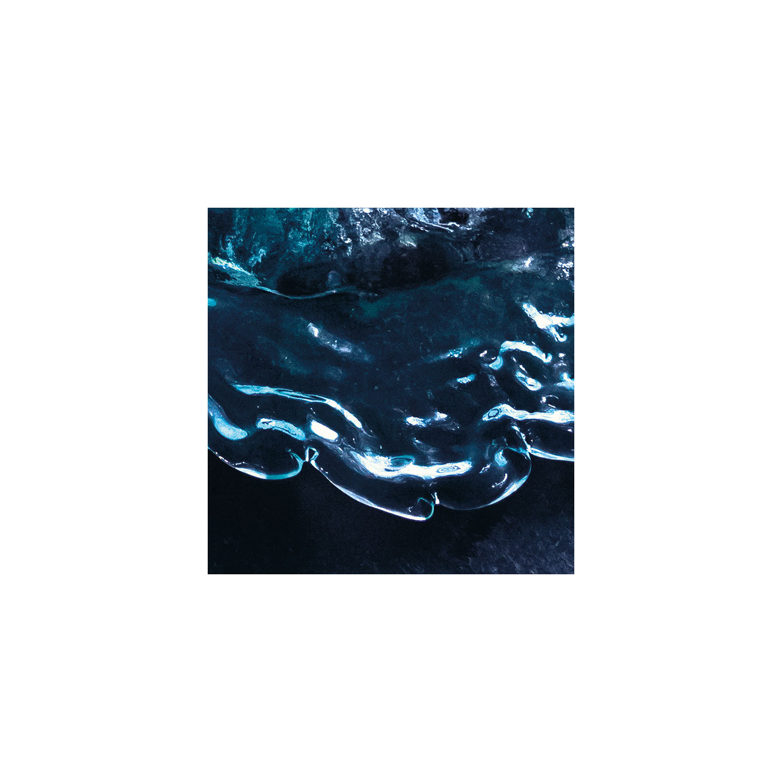 Komar  Vlies Fototapete The Coronation 200x250 cm Bild 6