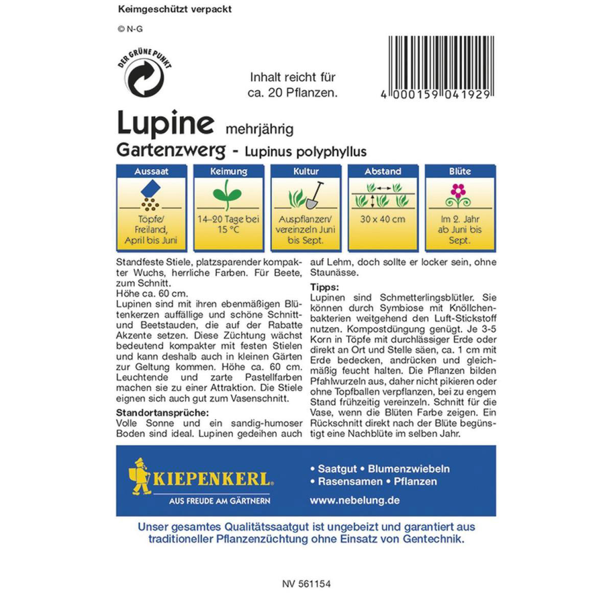 Kiepenkerl Lupinen Gartenzwerg Profi-Line Bild 2