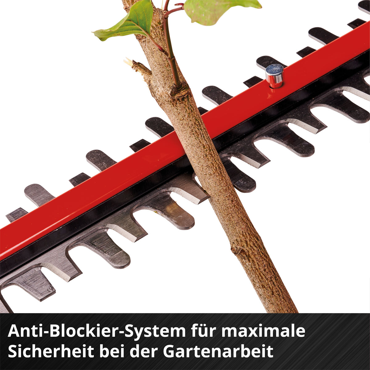 Einhell Akku-Heckenschere GP-CH 18/50 Li BL-Solo Bild 13