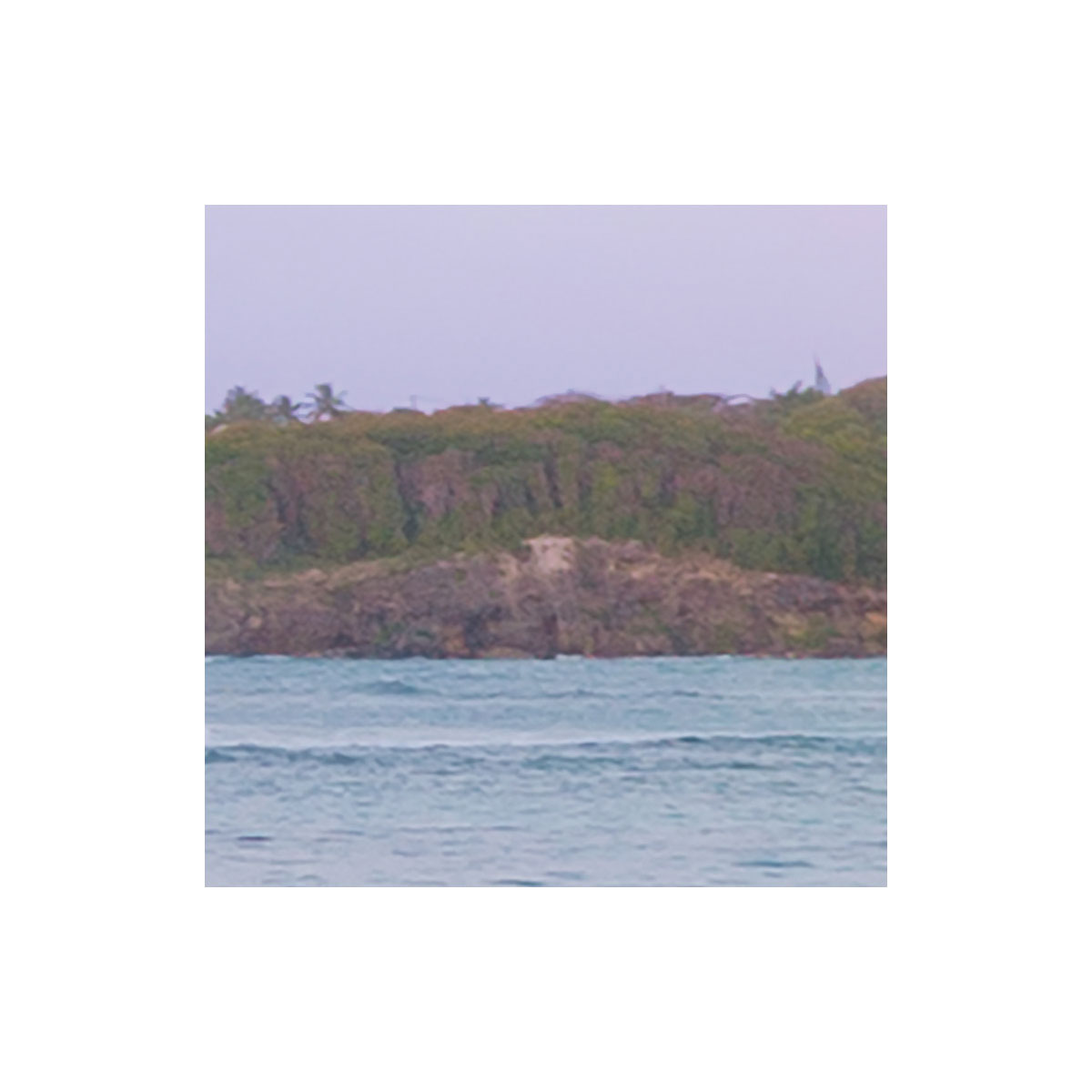 Komar  Vlies Fototapete Paradise Morning 368x248 cm Bild 9