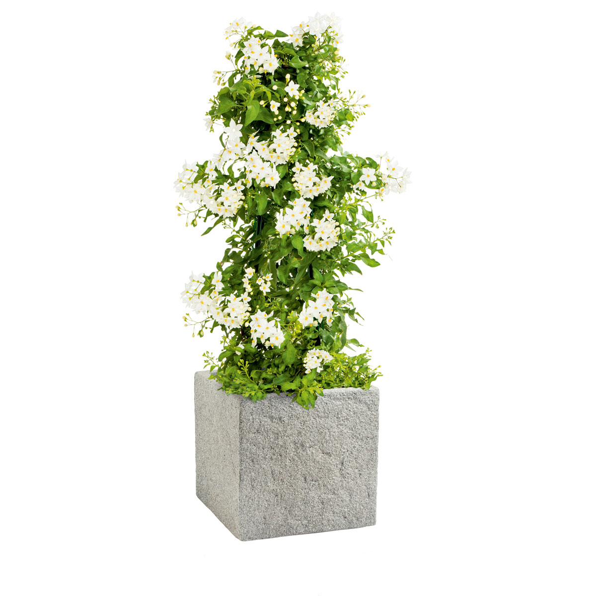 Haveson Fiberglaskübel 50 x 50 cm Natursteinoptik Bild 2